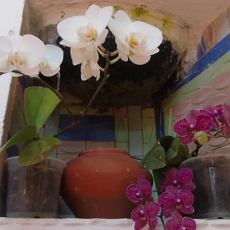 Hostel La Casita De Estrella *