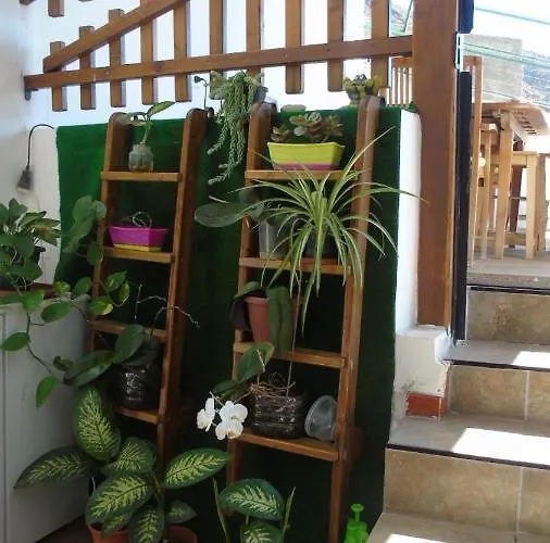 La Casita De Estrella Hostel *