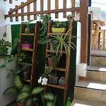 La Casita De Estrella Vandrerhjem *