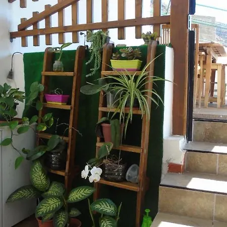 La Casita De Estrella Hostel *