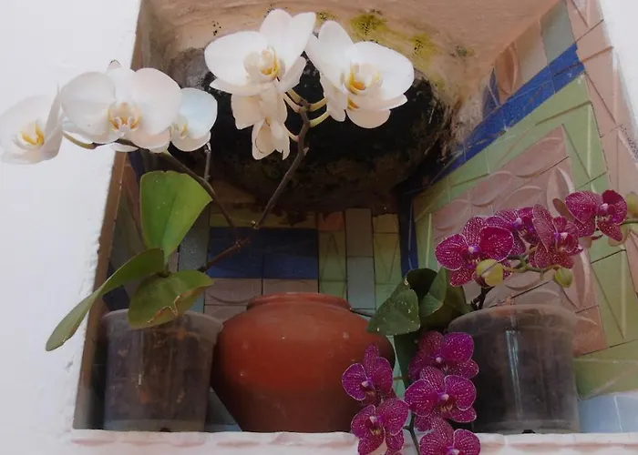 بيت شباب La Casita De Estrella *